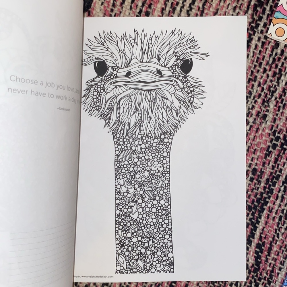 Adult Coloring Books - Picture 3 of 10